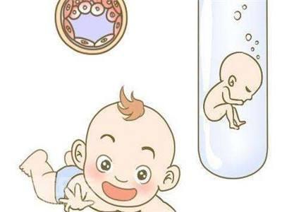 专业同志代怀服务收费标准