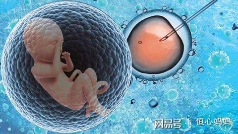 周顾问